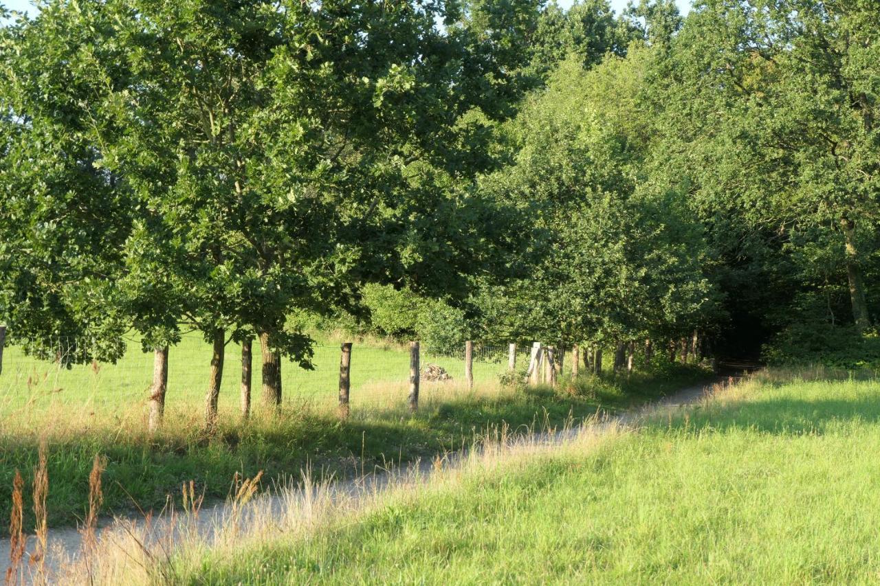 Ferienzimmer Suhrer Seeblick Plön Exterior foto